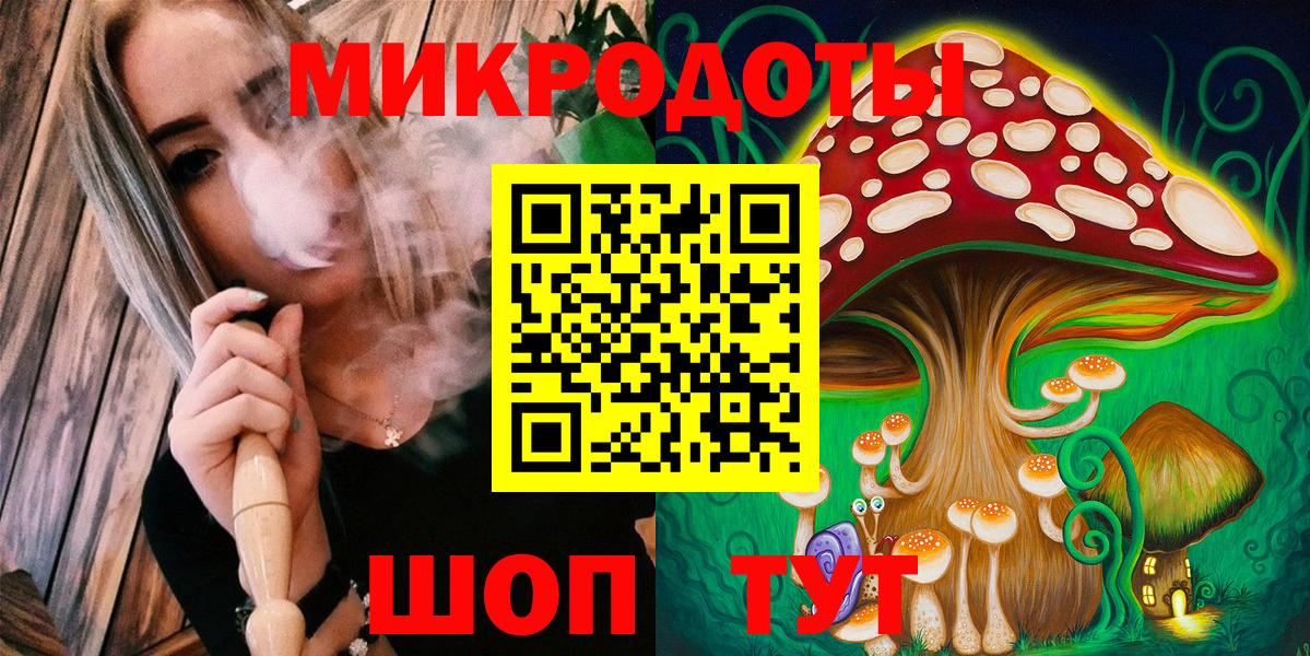 Галлюциногенные грибы прущие грибы Петрозаводск